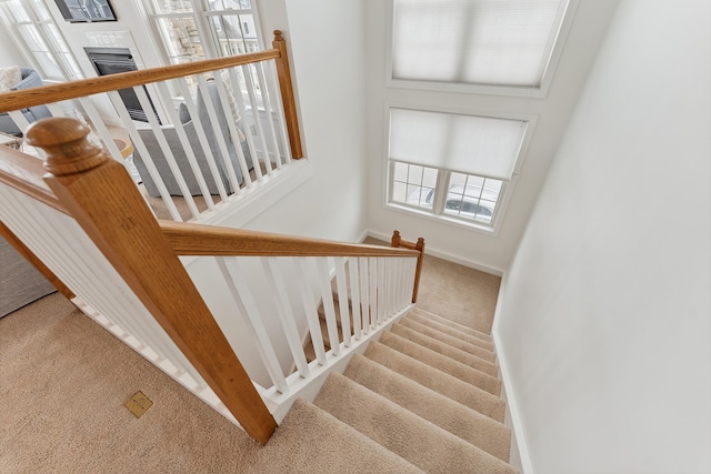 stairs with carpet flooring