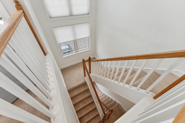 stairs featuring carpet floors