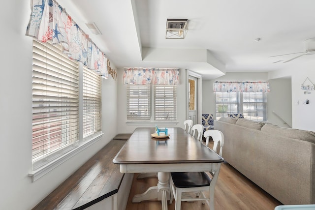 316 E 17th Ave Unit 6, North Wildwood, NJ 08260 - dining room featuring wood finished floors, healthy amount of natural light, and a ceiling fan