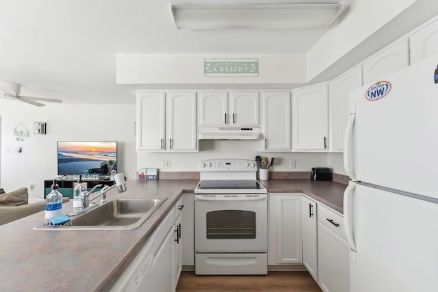 316 E 17th Ave Unit 6, North Wildwood, NJ 08260 - kitchen with white appliances, under cabinet range hood, white cabinets, a ceiling fan, and dark wood finished floors