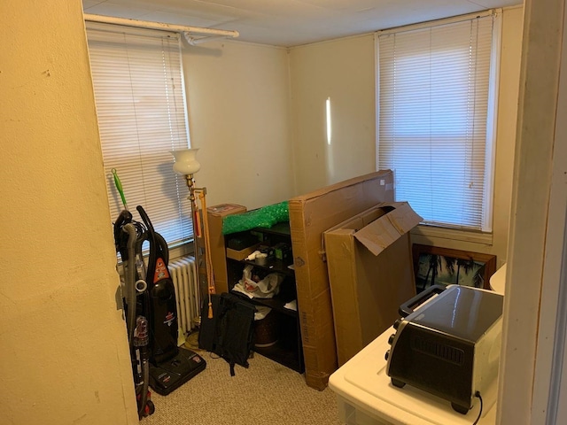 14 Lyndhurst Rd, Marmora, NJ 08223 - bedroom featuring radiator and carpet floors
