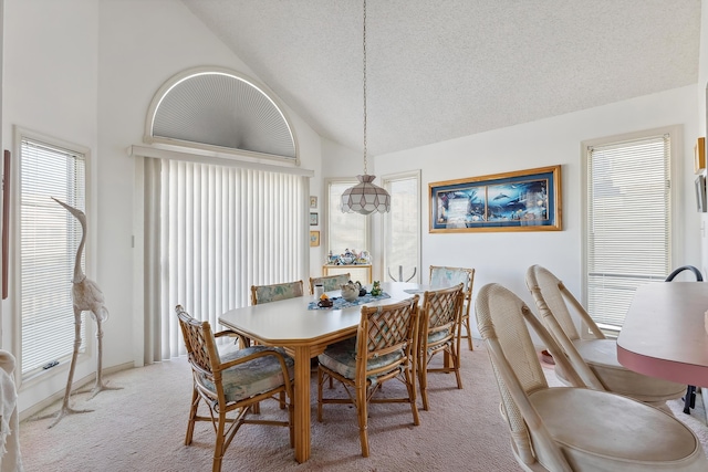 138 8th St, Avalon, NJ 08202 - dining room featuring lofted ceiling, light carpet, and a textured ceiling
