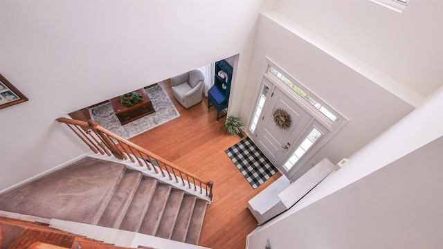 entrance foyer with a high ceiling and plenty of natural light