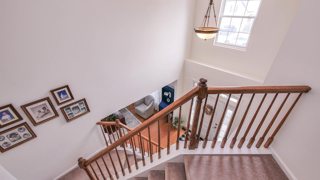 stairway with carpet flooring