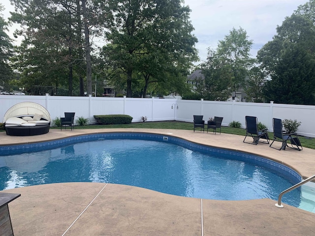 view of pool featuring a patio area