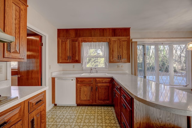 kitchen with stovetop, plenty of natural light, sink, and white dishwasher