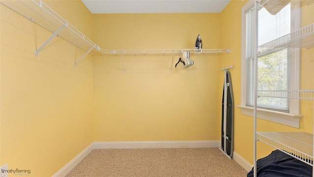 walk in closet with carpet