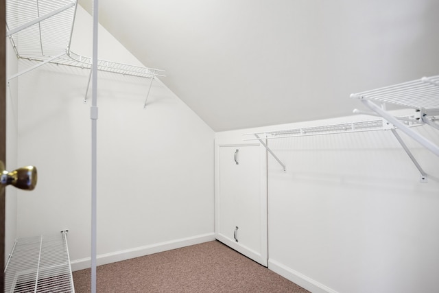 spacious closet featuring carpet floors and lofted ceiling