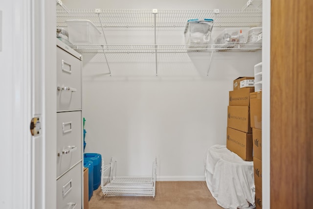 walk in closet featuring carpet floors