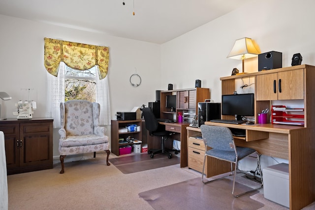 office area featuring carpet floors