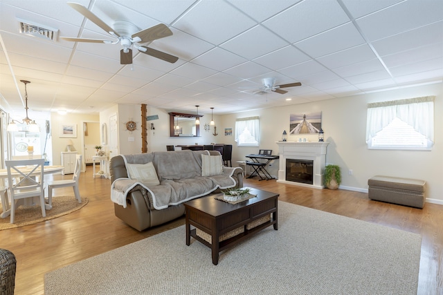 living room with ceiling fan, light hardwood / wood-style flooring, and a drop ceiling