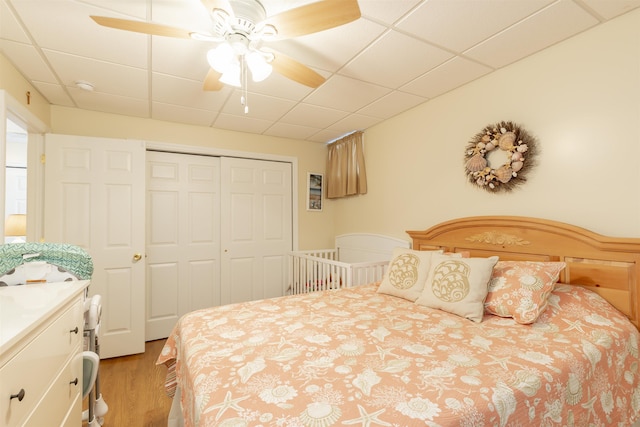 bedroom featuring a paneled ceiling, ceiling fan, light hardwood / wood-style flooring, and a closet