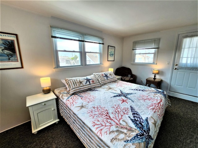 9903 2nd Ave, Stone Harbor, NJ 08247 - bedroom with dark colored carpet