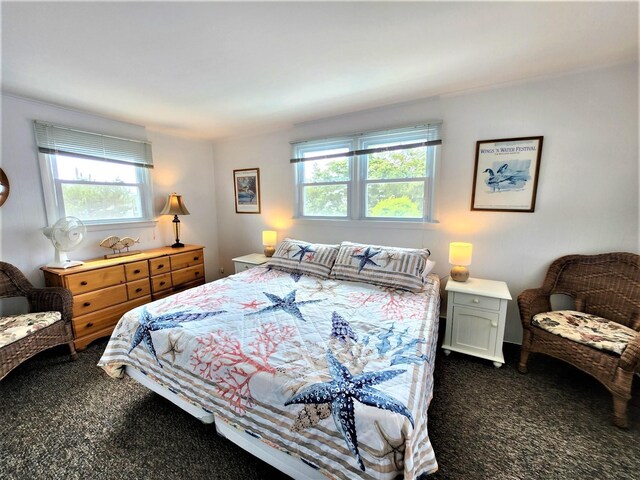 9903 2nd Ave, Stone Harbor, NJ 08247 - bedroom with dark carpet and multiple windows