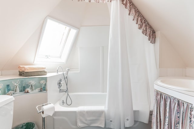 bathroom with a skylight and toilet