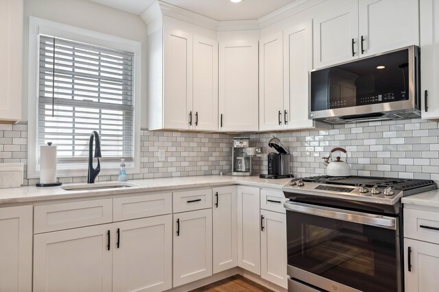 kitchen with white cabinetry, a sink, stainless steel appliances, and decorative backsplash