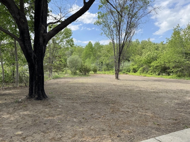 view of wooded area
