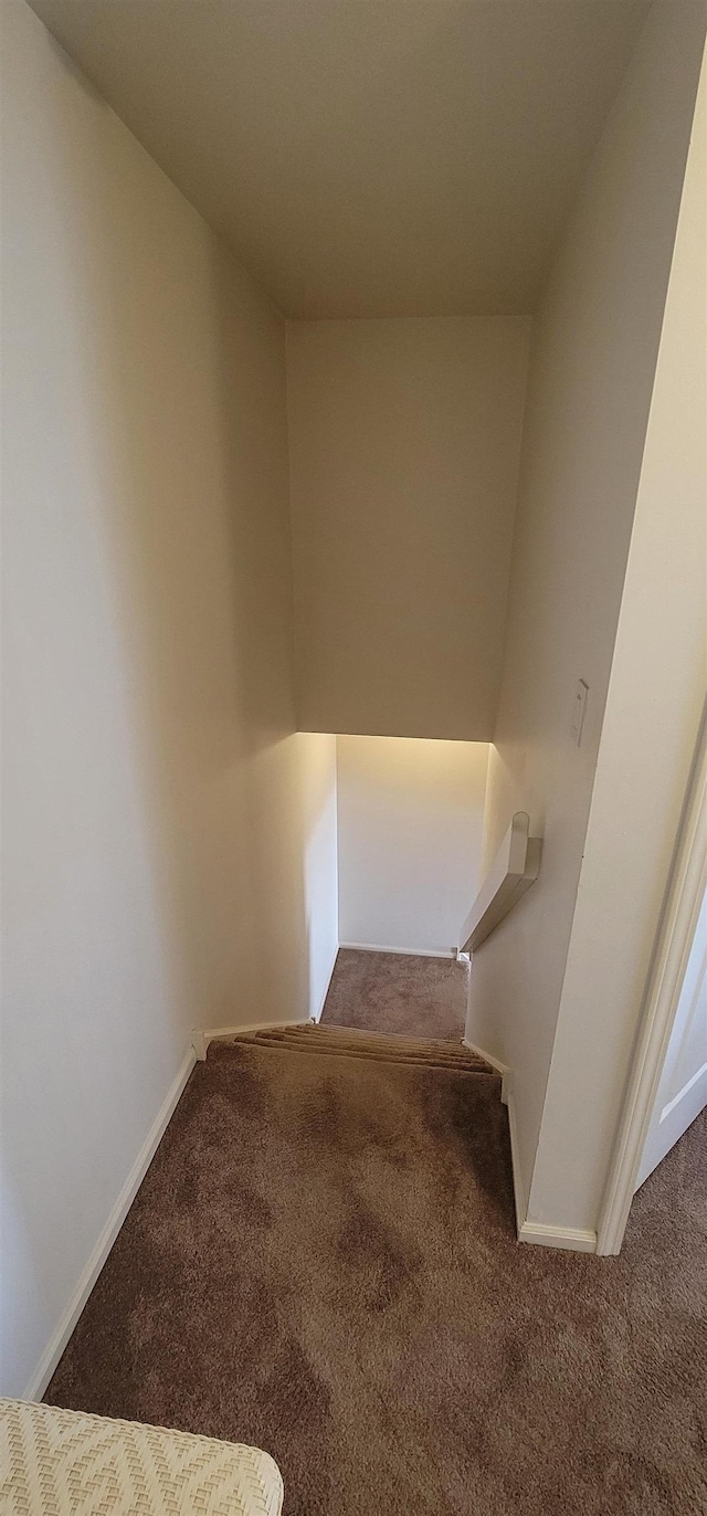 stairs with carpet