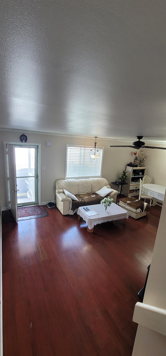 unfurnished bedroom with a textured ceiling, dark hardwood / wood-style floors, and multiple windows