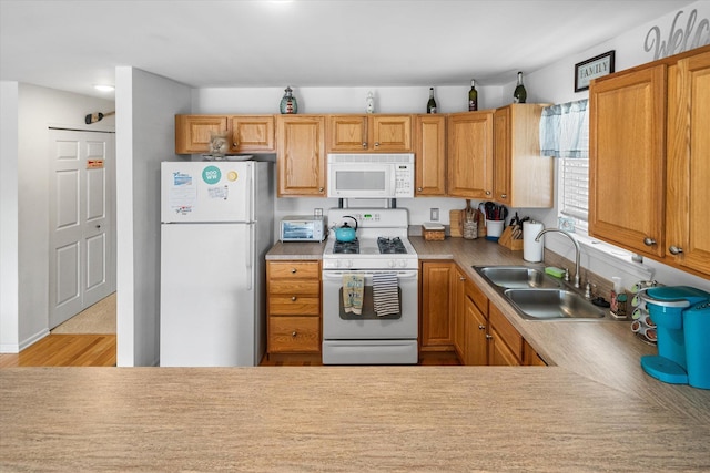 kitchen with a sink, wood finished floors, white appliances, a toaster, and light countertops