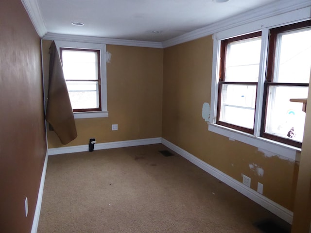 empty room featuring carpet floors and ornamental molding