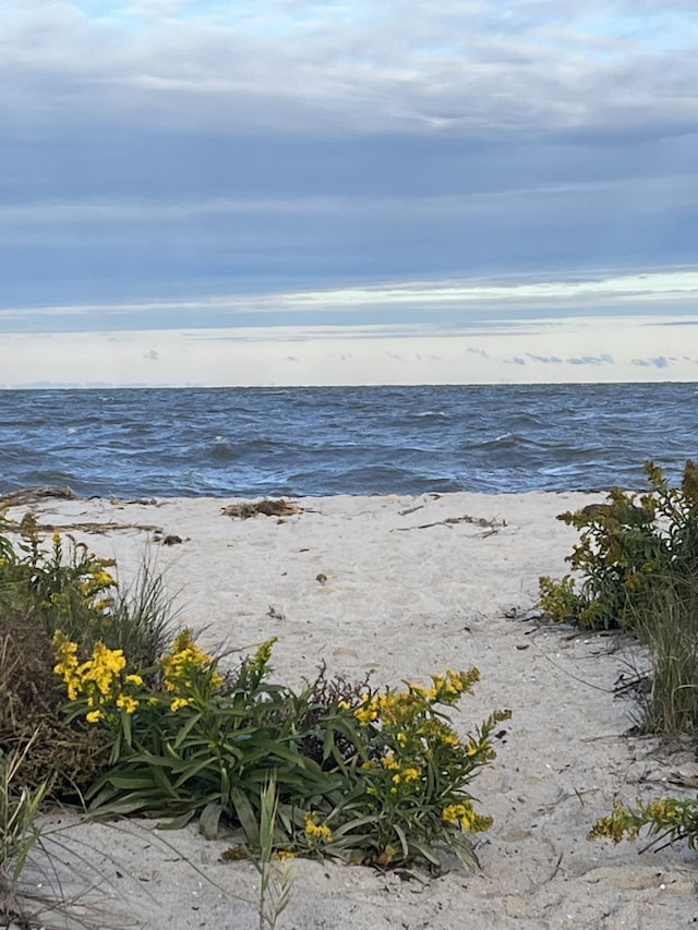 view of water feature with a beach view