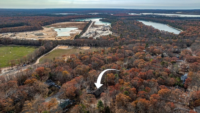 bird's eye view with a water view and a view of trees