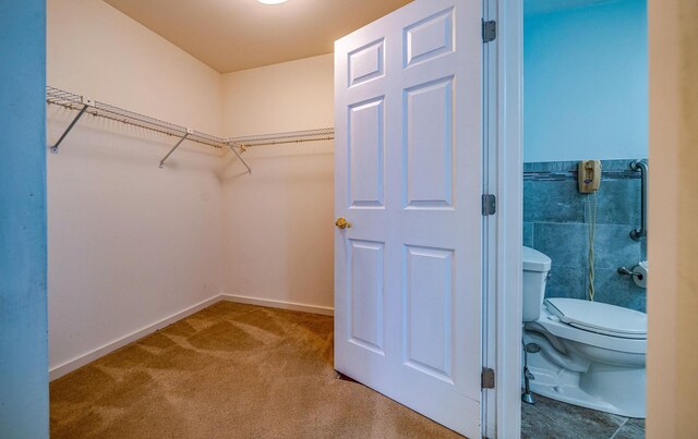 spacious closet with carpet flooring