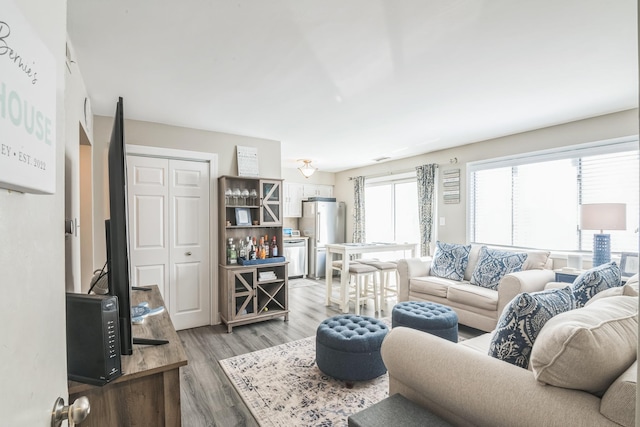 living room with wood-type flooring