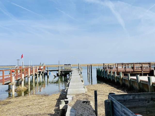 dock area with a water view