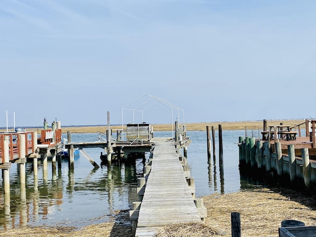 dock area featuring a water view