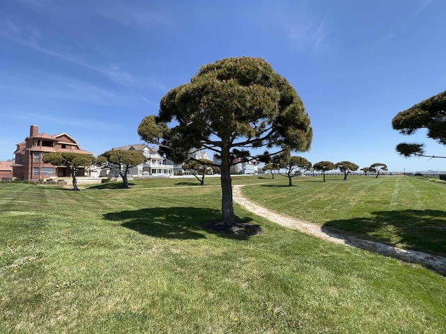 exterior space with a yard