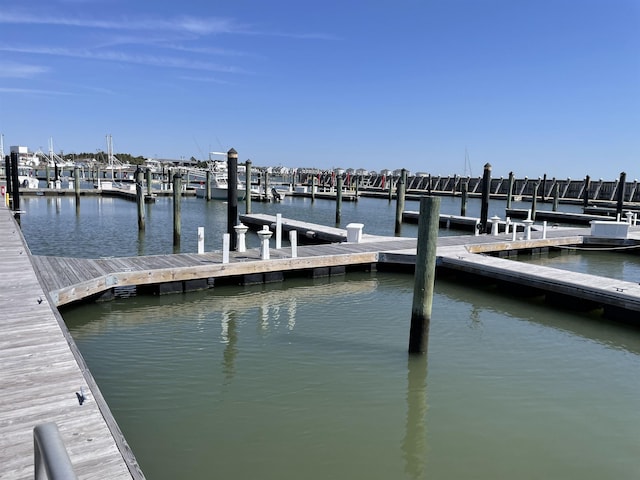dock area with a water view
