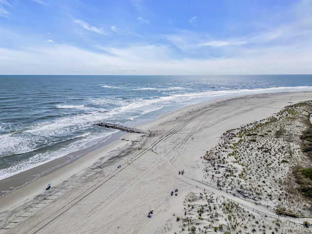 property view of water with a beach view