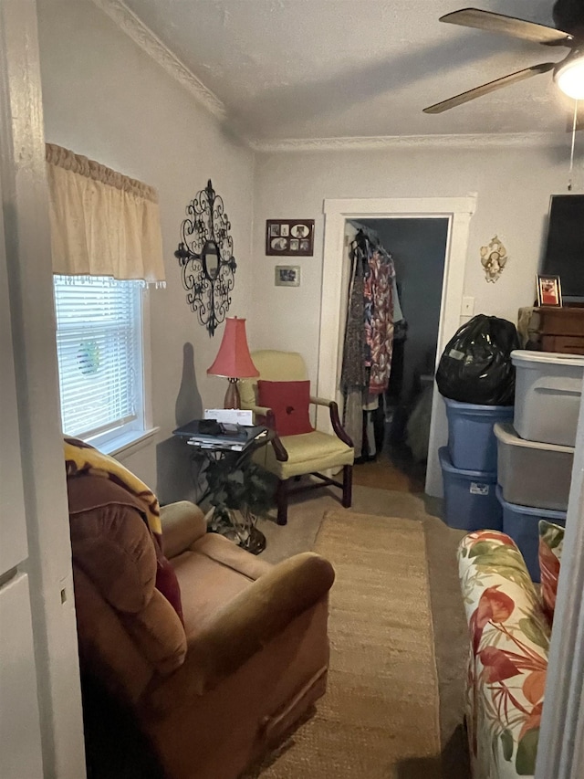 living room with ceiling fan and a textured ceiling