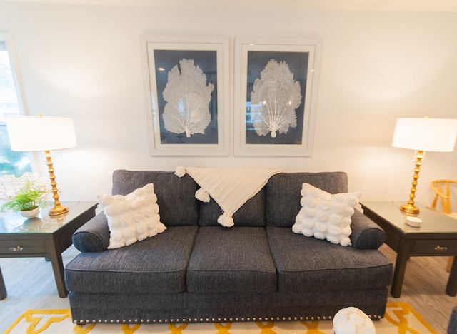 living room featuring wood finished floors