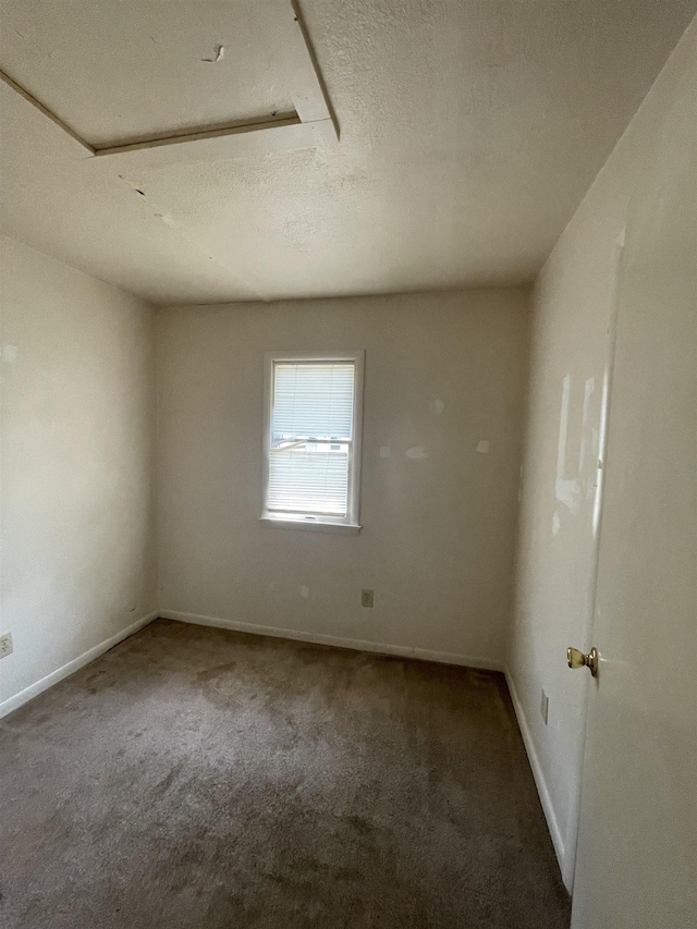 301 E Pacific Ave, Villas, NJ 08251 - photo 7