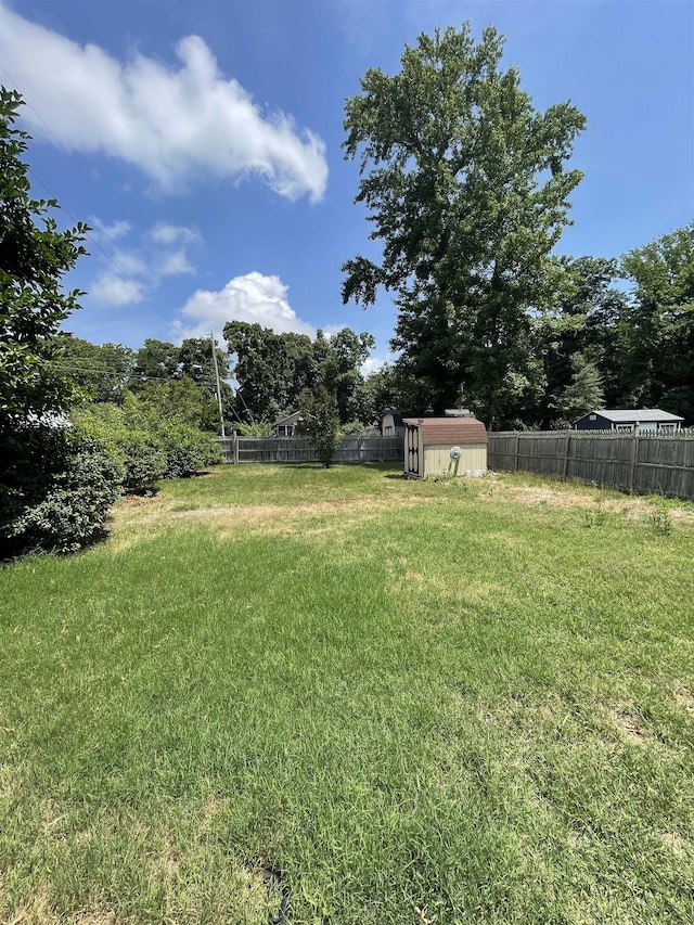 view of yard featuring a storage unit