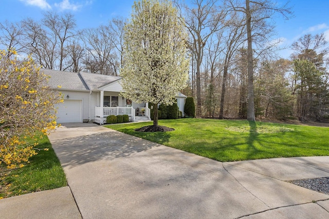 ranch-style house featuring covered porch, roof with shingles, a front yard, concrete driveway, and an attached garage