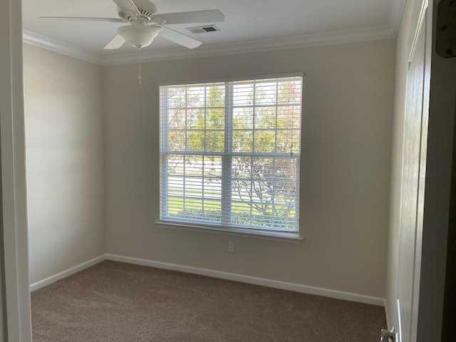 29 Falkirk Dr, Rio Grande, NJ 08242 - carpeted empty room featuring plenty of natural light, visible vents, and baseboards