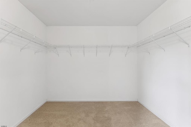 spacious closet with light colored carpet