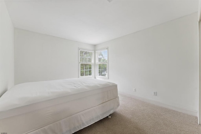 bedroom with baseboards and carpet floors