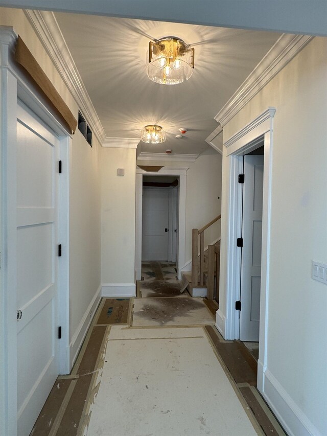 281 7th St, Avalon, NJ 08202 - photo 14