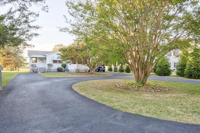 view of front of home featuring a front lawn