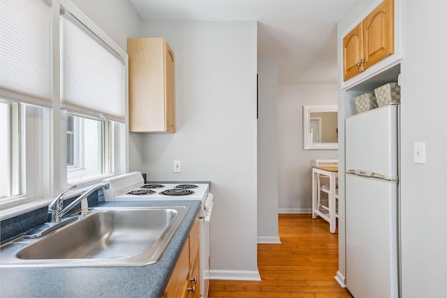 2205 New Jersey Ave Unit 1, North Wildwood, NJ 08260 - kitchen featuring white appliances, light wood finished floors, and light brown cabinets