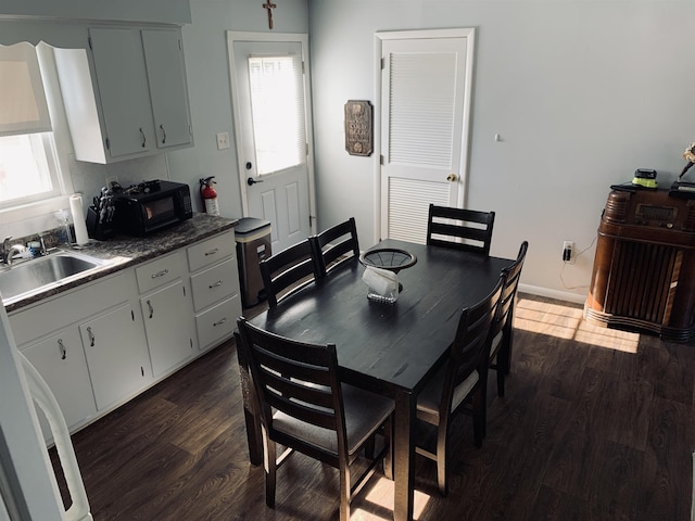 dining room featuring sink and dark wood-type flooring