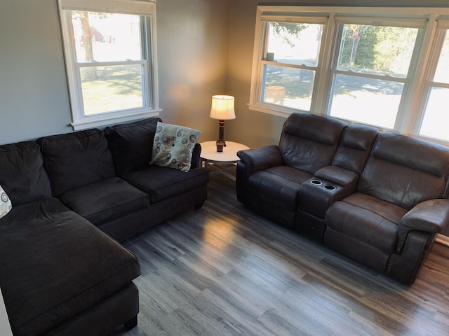 living room featuring hardwood / wood-style floors