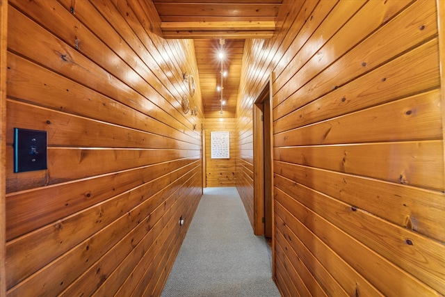 304 Alexander Ave, Cape May Point, NJ 08212 - hall featuring wood ceiling, wood walls, and carpet