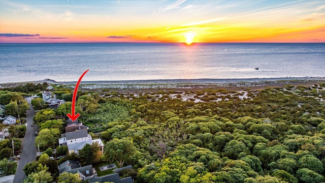 304 Alexander Ave, Cape May Point, NJ 08212 - drone / aerial view of unending shoreline