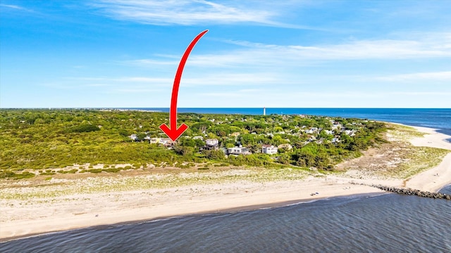 304 Alexander Ave, Cape May Point, NJ 08212 - bird's eye view of unending shoreline